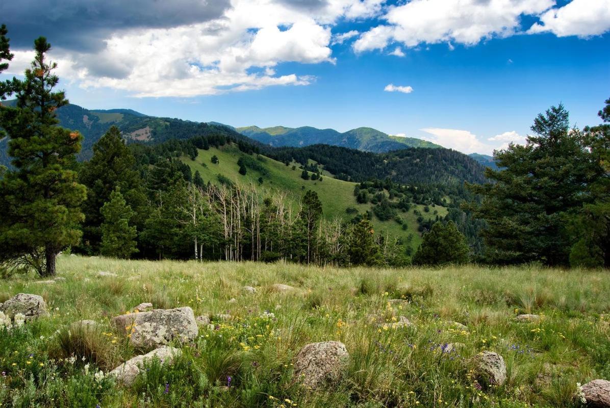 Destiny Cabin, 2 Bedrooms, Fireplace, Midtown, Sleeps 7 Ruidoso Exterior foto